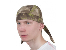 ������� ������ � ���������, HDT-1 70 �.jpg