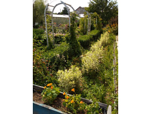 ������� � ����, ��������� ����