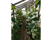 ��������� �������