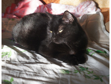 DSC00140.JPG