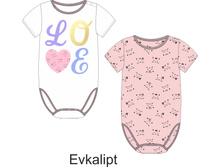 20254140014   Evkalipt          .jpg