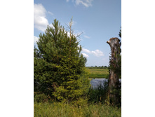 ��� �� ���� ����� �����