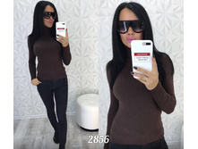 ��������� 2856