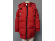 20220130142   Bombina   �������.jpg