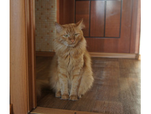 DSC00148.JPG