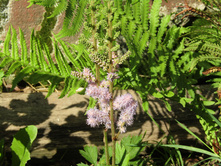 �������� "��������� �����".JPG