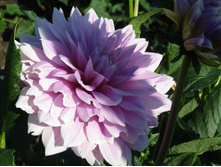 ������� �������� ����������.JPG