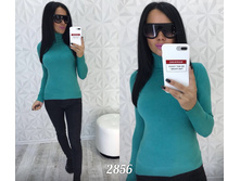 ��������� 2856