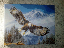 198044663-1518684017896 100.jpg