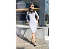 Plate-6204.jpg  1483���