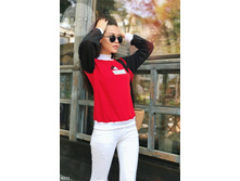 Svitshot-6111.jpg  1098���