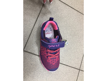 IMG 0295-13-08-18-07-06.jpeg