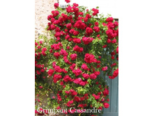 ���� Grimpant Cassandre (�������� 19��).jpeg