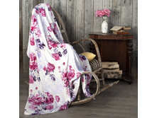 ���� ����������� ��������