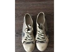 ���� �������� �������