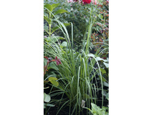 ����������, ��� ��������� �����