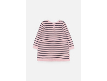 20250200002   Korat   �������(���).jpg