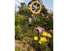 ������������ ������� ���� � ������