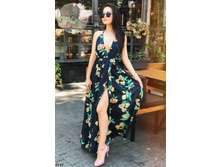 Plate-6110.jpg  1258���