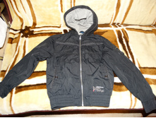 �������� Futurino