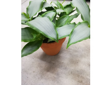 ��������� ���������� ����� ����