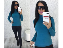 ��������� 2856