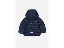 20150130005   Sorgo   �����-�������(���).jpg