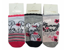������� � �������� ��� ������� A.veasa �40044