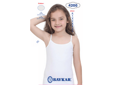 ����� 4200.png