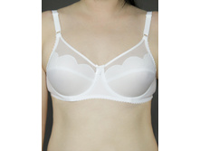 ����������� �065 380 ���.jpg