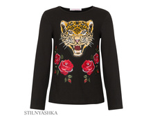 803 �+���% ����� 669 �+���%