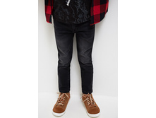 20120160170   Ortis   ������(������).jpg