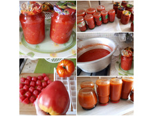 ����, ���������� ����, ��� �� ���� �������� ��� ����� .... ��������� �� ����