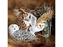 19,0 - 30�30��, 27,0 - 40�40��, 39,0 - 50�50��