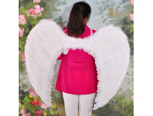 � ����.����