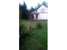 Image04R3YILJ.jpg