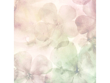 Mozart Inspiration Summer 2018-48.jpg