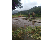 �������