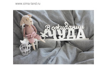 ���������� ��������� "� �������� ����" 14,5�39,5�0,3 �� 81,07� �� 2��