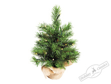 ������ ���������� "���������"