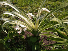 IMG 20180818 133349.jpg