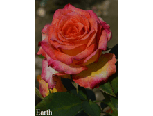 ���� Earth (�������� 8��).png