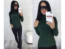 ��������� 2856