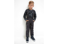 20120160168   Svent   �����.jpg