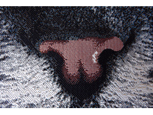 ����� ������� "������ �����"