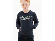 10110170005 �����-�������.jpg