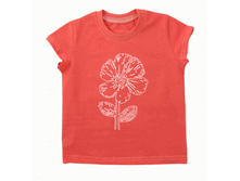 �������� 0620. ���� 268 ������ ����: 116