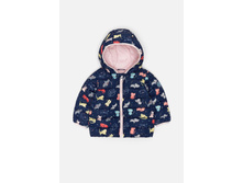 20250130004   Watzit   �����-�������(���).jpg