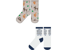 20154420003   Trutes   �������.jpg