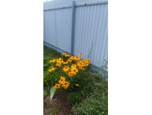 P 20180809 151320.jpg